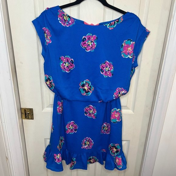Lily Pulitzer Royce Blue of Corsage Auburn Dress Floral Small - Picture 2 of 10